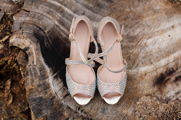 Sparkling bridal high heels placed on a rustic tree slice. Elegant wedding detail combining glamour and natural textures in outdoor celebration styling.