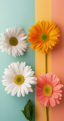 A sophisticated, minimal spring-themed background featuring a soft pastel color palette of white, orange, green, pink, and yellow - ideal for seasonal designs, digital wallpapers, 
