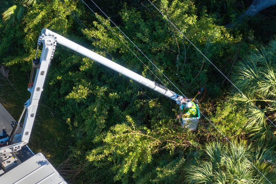 Maintenance of electrical grid by city utility cervices. Worker in lift truck trimming tree around power lines