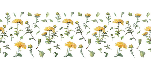 Seamless border watercolor yellow chrysanthemum with green leaves on white background. Vintage hand-drawn branch with flower and bud for celebration card. Nature art for wallpaper wrapping sketchbook