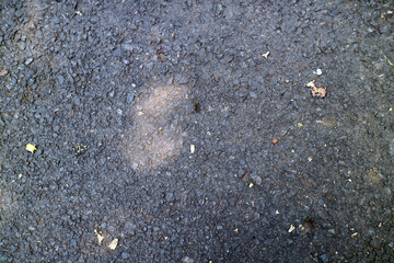Textured Asphalt Surface with Debris
