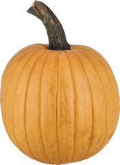 Pumpkin Isolated From Background
