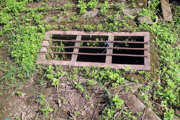 Rusty Metal Grate Surrounded by Overgrown Grass