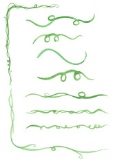 식물 덩굴 줄기 © 설현 박