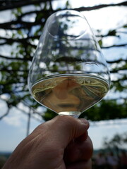 Hand holding up white wine in glass and swirling at wine tasting