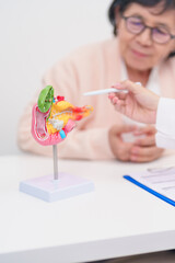 Elderly Patient consultation with doctor for Pancreas, Gallbladder, Bile Duct, Duodenum, Small intestine. Pancreatic cancer, Acute and Chronic pancreatitis, Digestive system and medical healthcare