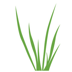 A simple illustration of green grass, symbolizing natural growth and outdoor environments, ideal for nature, gardening, and spring-themed designs.
