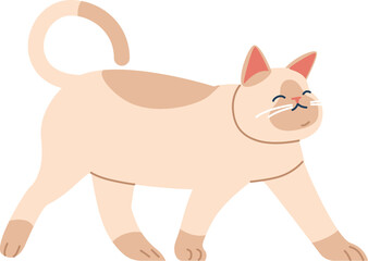 Little cat walking vector illustration