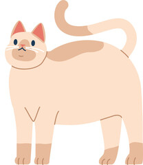 Lovely curious kitten vector illustration