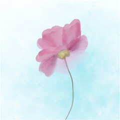 Hand drawn illustration of flowers and leaves. Pink and blue.