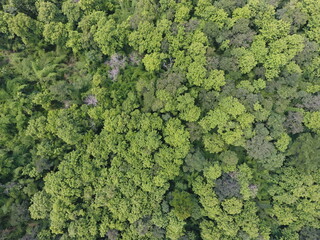 Naklejka premium Top View Aerial Photograph