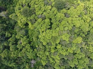 Naklejka premium Top View Aerial Photograph