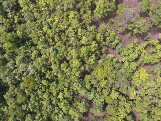 Top View Aerial Photograph