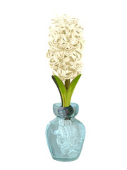 ヒヤシンス（花瓶付き）ホワイト