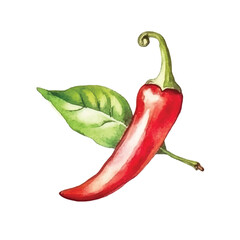 Vibrant Watercolor Chili Pepper with Lush Green Leaf
