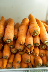 Vertical stack of fresh carrots on display at market