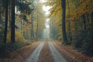 Naklejka premium Serene Woodland Path Covered in Leaves