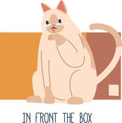 Cat sitting in front box