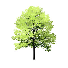 Vibrant solitary tree with lime green foliage on stark black backdrop illustration