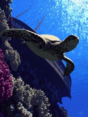 Underwater turtle near sunken ship