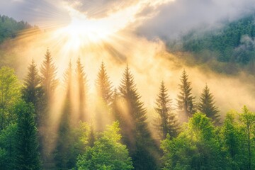 Golden sunlight beams through misty mountain forest