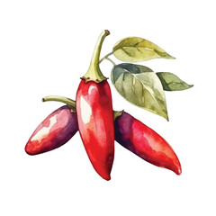 Watercolor Illustration of Three Red Chili Peppers with Green Leaves