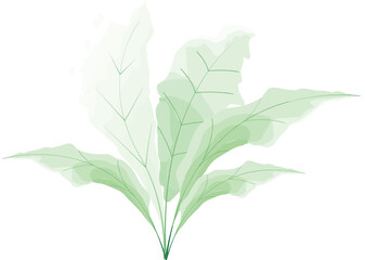 Watercolor botanical leaves illustration with soft green tones and elegant natural shapes, perfect for eco-friendly design and nature-themed projects