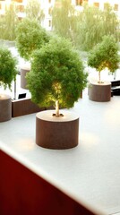 Urban garden with potted trees