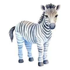 Watercolor Zebra Standing Gracefully with Striking Black and White Stripes