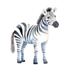 Watercolor Zebra with Black and White Stripes Standing in Profile View
