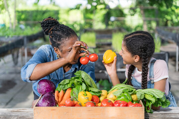 Happy black farmer mother and daughter on vegetable farm for agriculture, business growth and...