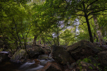 
Khlong Lan Waterfall is one of the most beautiful and grand waterfalls in Thailand. Below it is a large pool where you can swim. It is located in Khlong Lan National Park, Kamphaeng Phet