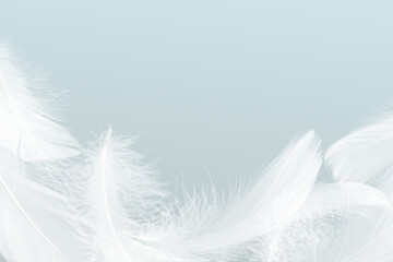 White Bird Feathers Background. Fluffy Downy, Flying Feathers. Softness of Feathers Falling in Heavenly. Swan Feather on White Background.	
