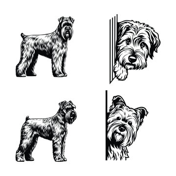 Bouvier des Flandres Dog Svg