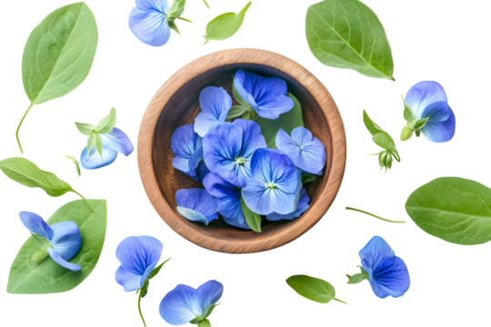 Delicate blue flowers in wooden bowl create a serene botanical still life