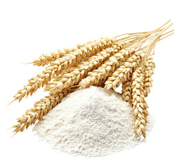 Ears of wheat on a pile of white flour creating a compelling agricultural food display