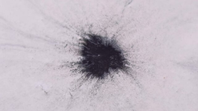 Paint blot transition. Grunge fluid explosion. Black pigment spill on white wet background. Defocused round contrast splotch abstract reveal.