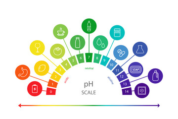 Fototapeta premium PH value Scale chart. Liquid level, litmus color change. Ph food analysis or chemical test. Vector illustration in flat style.