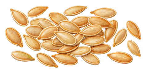 Pile of Pumpkin Seeds Watercolor Illustration, Isolated on Transparent Background, food, healthy, illustration, pumpkin seeds, watercolor, illustration