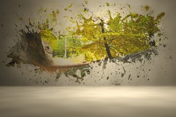 Splash on wall revealing forest trail