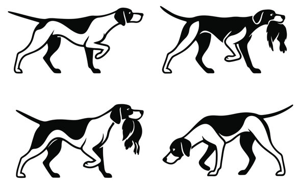 modern type pointer dog set vector illustration, set of duck hunting pointer dog graphic art