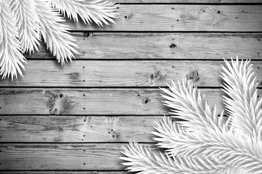 Fototapeta Fir branches on wooden planks
