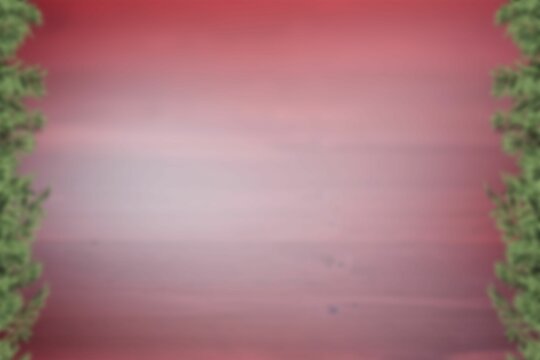 Fototapeta Blurred fir tree branches on wood