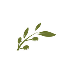 olive illustration icon