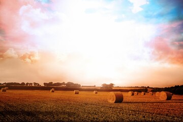 Single cylindrical hay bale sitting in flat design harvested field under vibrant sunset sky