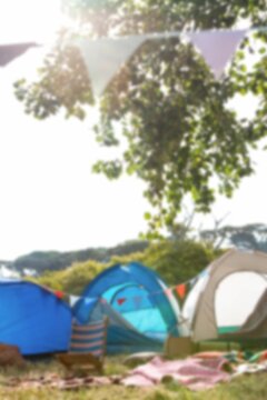 Fototapeta Tents by tree on grassy field