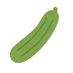 Zucchini 