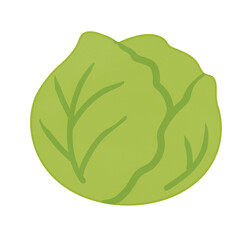 cabbage isolated on white background