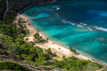 A scenic view of Hanauma Bay on the island of Oʻahu, Hawaii, showcasing the clear turquoise waters, coral reef, and lush coastal surroundings of this iconic natural preserve.