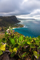 A sweeping coastal view from Makapuʻu Lookout on the eastern tip of Oʻahu, Hawaii. This elevated...